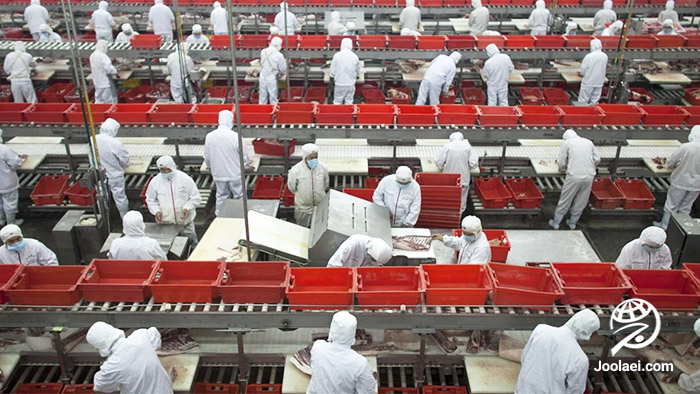 جستجو و انتخاب شرکت‌های تولید کننده و صادر کننده خوراک دام در چین