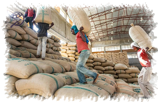 شرایط خاص واردات کالاهای اساسی از چین