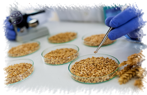 اهمیت این آزمایشگاه‌ها در واردات و صادرات