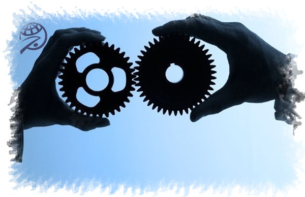 مدل های اتحاد (Alliances) در واردات