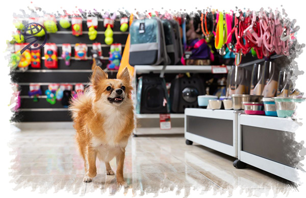 پیش‌بینی بازار پت ایران